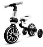 ECOTOYS Балансно колело 4в1 - EcoToys