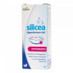 HÜBNER Silicea gél ajakherpeszre 2 g