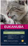 EUKANUBA 2x10kg kg Eukanuba Hairball Control Adult száraz macskatáp