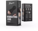 Teazers Vibrating Egg With Remote Control - corner69 - 12 582 Ft