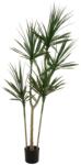  EUROPALMS Dracaena, artificial plant, green, 170cm (82505799)