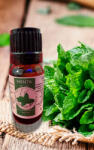 Illóolaj 100% Menta 10ml (Menta)