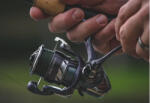 Daiwa Mulineta Daiwa 24 Regal LT 2000D-XH, 6 rul, 150 m x 0.23 mm, 6.2: 1 (D.10116.207)