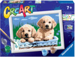 Ravensburger Pictura Pe Numere - Catelusi (RVSPBN28931)