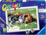 Ravensburger Pictura Pe Numere - Catelus Si Pisicuta (RVSPBN28930)
