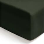 CLARYSSE Двоен чаршаф с ластик GRACE 160 x 200 см, гора зелен, тенсел, Clarysse (CLALFLG006T1630)