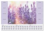 SIGEL Könyökalátét, 595x410 mm, 3 éves, heti tervezővel, SIGEL "Fragrant Lavender (SIHO308) - papirtar