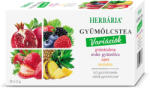 Herbária gyümölcstea mix 1 gránátalma, erdei gyümölcs, eper, ananász variáció 20x2 g 40 g - perfectlife
