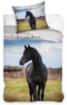 4-Home Lenjerie de pat din bumbac Black Mustang, 140 x 200 cm, 70 x 90 cm Lenjerie de pat
