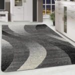  Modern szőnyeg Scarlett 4802 (Gray) 80x250cm Szürke