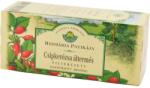 Herbária csipkerózsa áltermés tea 25 db filter 75 g