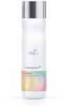 Wella Sampon pentru par vopsit Wella Professionals Color Motion, 250 ml