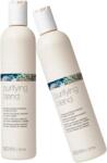 Milk Shake Pachet DUO Sampon anti-matreata Milk Shake Scalp Care Purifying Blend, 300 ml