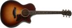 Taylor Builder's Edition 314ce LTD 50th Anniversary Kona Burst