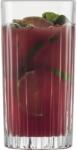 Zwiesel Glas SCHOTT ZWIESEL Stage Ivópohár, űrtartalom: 0, 44 liter, magasság: 150 mm, átmérő: 76 mm