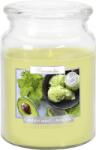 BISPOL Garden Mint & Avocado 500 g