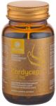 Aronia Charlottenburg Cordyceps, 500mg, 60 capsule, Aronia Charlottenburg