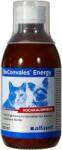 alfavet RECONVALES ENERGY, Alfavet, 180ML - shop4pet