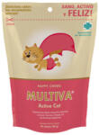 VetNova Multivitamine si multiminerale pentru pisici, MULTIVA Active CAT, VetNova, 45 comprimate