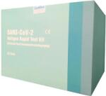  SARS-CoV-2 gyorsteszt készlet 25 db (121455)