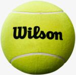Wilson Minge jumbo tenis Wilson Roland Garros Jumbo 13 cm - galben (WRT1416YD)