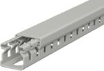 Obo Betermann Canal cablu perforat, type LK4 15015 | Type LK4 15015 (6178001)