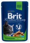 Brit Premium Cat Chicken Slices for Sterilised 100 g