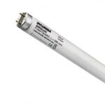 SYLVANIA Special T8 15W 55V G13 SYL (0000069)
