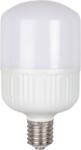 Total Green Bec LED 40W E40 6500K (EL0044654) - materialeelectrice