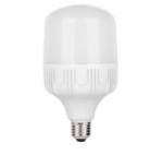 Horozk Electrik Bec LED TORCH-30 /001-016-0030 (0LED-001-016-0030)
