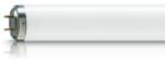Philips Actinic BL TL 40W/10 (928011301020)