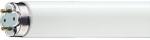 Philips TUB NEON - MASTER TL-D Xtreme 58W/830 (871150055882440)
