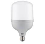 Horozk Electrik Bec LED TORCH-40 /001-016-0040 (0LED-001-016-0040-012)