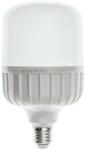 Lohuis Lighting Bec LED T100 LOHUIS, forma tubulara, E27, 30W, 25000 ore, lumina rece (5948668029009)