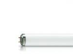 Philips Tl 40w/01 Rs Uv-b (928011300101)