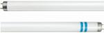 Philips TUB NEON - MASTER TL-D Secura 58W/840 (871150064018540)