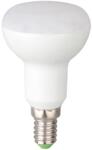 Total Green Bec LED Spot R39 4W E14 5000K (EL0056822) - materialeelectrice