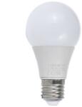 Lohuis Lighting Bec LED LOHUIS, forma A60, E27, 5W, 30000 ore, lumina rece (5948668021362)