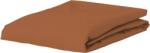 Essenza Cearșaf cu elastic Minte 90 x 200 cm maro (401244-103-037)