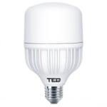 TED Electric Bec LED E27, 30W 6400K T100 2450lm, TED (A0059767)