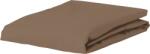 Essenza Cearșaf cu elastic Minte Topper 180 x 210 cm cafeniu (401244-110-011)