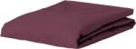 Essenza Cearșaf cu elastic Premium Percale 90 x 210 cm violet (400979-103-291)