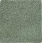 Aquanova Covor mic de baie Loa 60 x 60 cm verde fumuriu (LOABMB-293) Covor baie