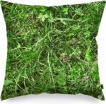Foonka Pernă Foonka pajiște alpină 40 x 40 cm cu umplutură din coji de hrișcă (PG-40x40-AM)