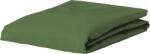 Essenza Cearșaf cu elastic Minte 180 x 200 cm verde (401244-103-020)