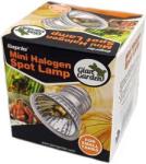 Giangarden Mini Halogen Spot Lamp bec terariu (25 Watt)