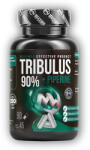 MAXXWIN TT MAXX 90% + Piperine 90 kapszula