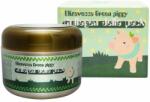 Elizavecca Green Piggy Collagen Jella Pack, 100g Masca de fata