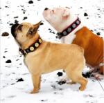 Bestia Zgarda Bijou, Piele Naturala, L: 42.5-50 cm, Negru-Roz / Boxer, Retriever