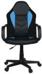 NOVOKIDS Scaun gaming si birou NOVOKIDS Gamer Mini, Rotatie 360 grade, Design ergonomic, Inaltime reglabila 117-127 cm, Latime 60 cm, Max 120 kg, Albastru cu Negru (NKGMERMINICHAIRBLUE)